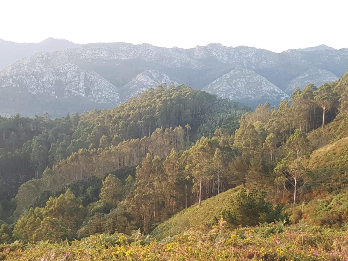 La Vierta Casa Rural Agroturismo Ribadesella Esterno foto